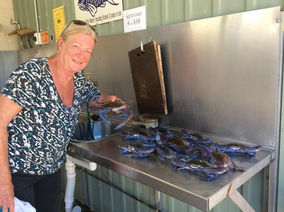 Ceduna Foreshore Caravan Park 外观 照片